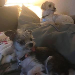 Meet your Posher, Betty